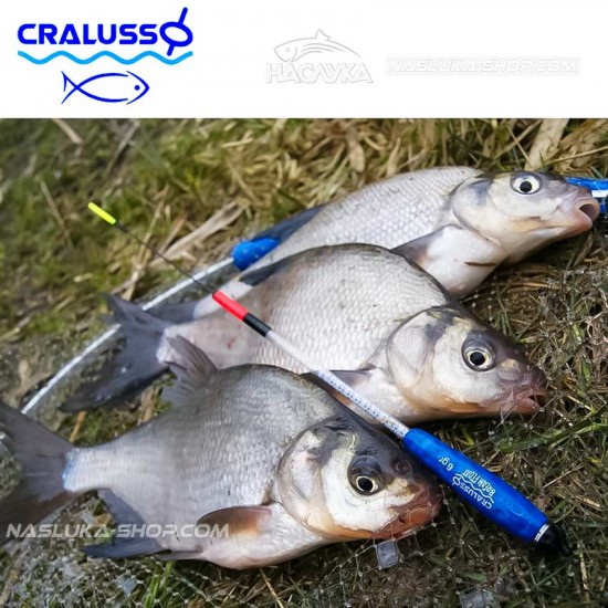 Waggler Cralusso Bream Float