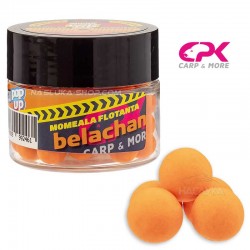 CPK Micro PopUp 8 χλστ- Belachan