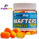 FishPro Wafters Dumbell - Scopex & Mango