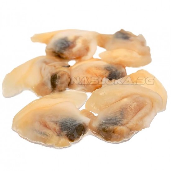 Αποξηραμένα μύδια Alot Fish Shell Meat