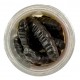 Δόλωμα Σιλικόνης Berkley Gulp HoneyWorm - Black
