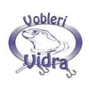 Vidra