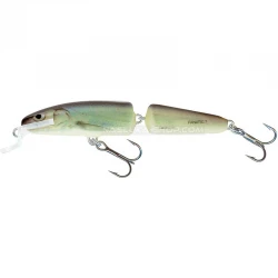Wobbler Salmo Fanatic - Floating - χρώμα RBL