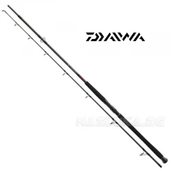 Καλάμι Daiwa Exceler Catfish Boje EXCF1002XXHFS - 3.00μ 600γρ